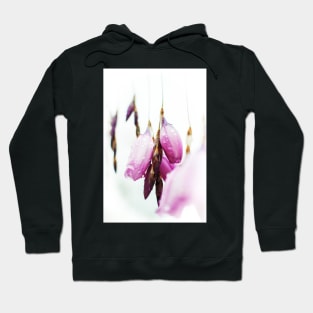 Elfins Fishing Wands Hoodie